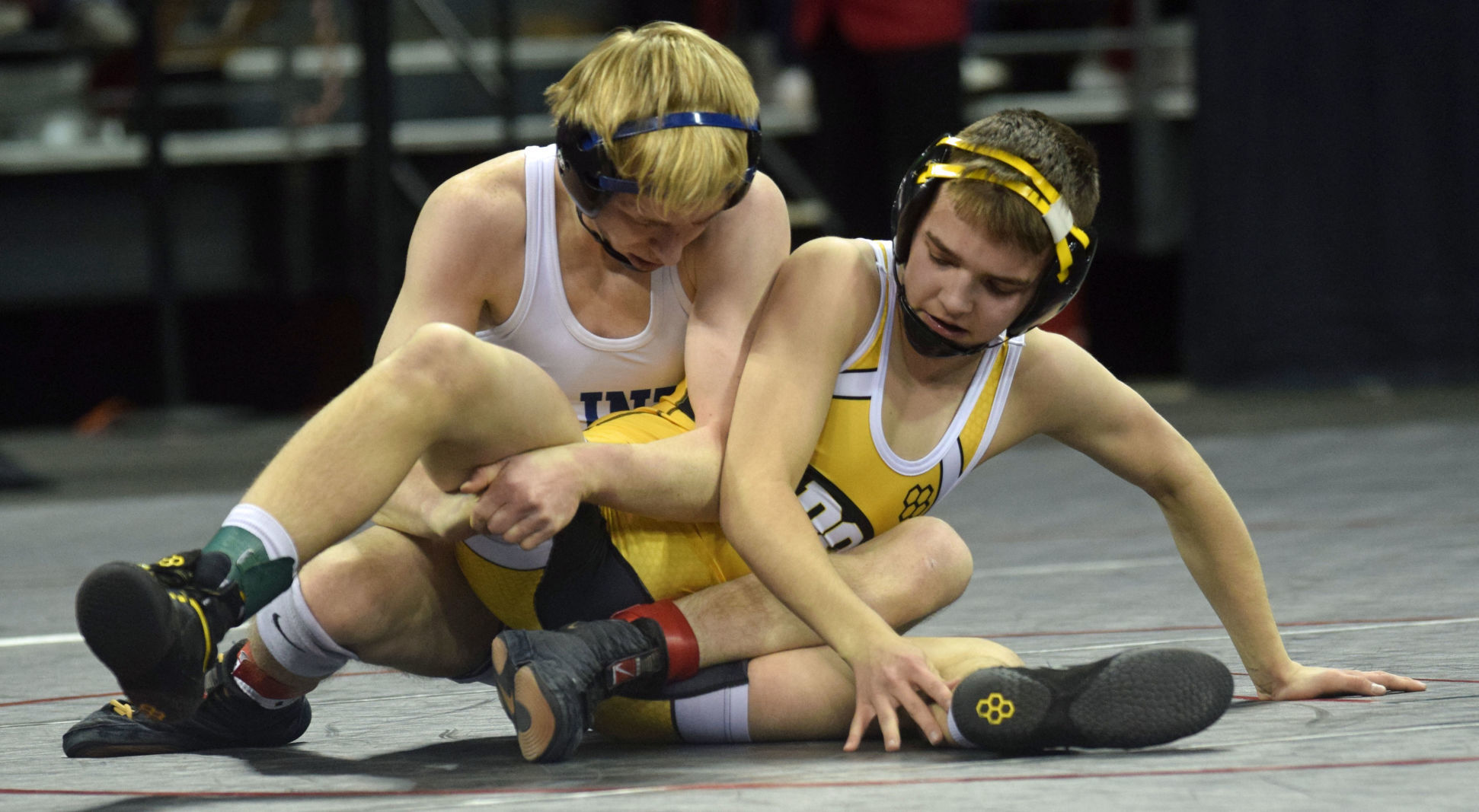 WIAA Individual State Wrestling Tournament 2-29-20